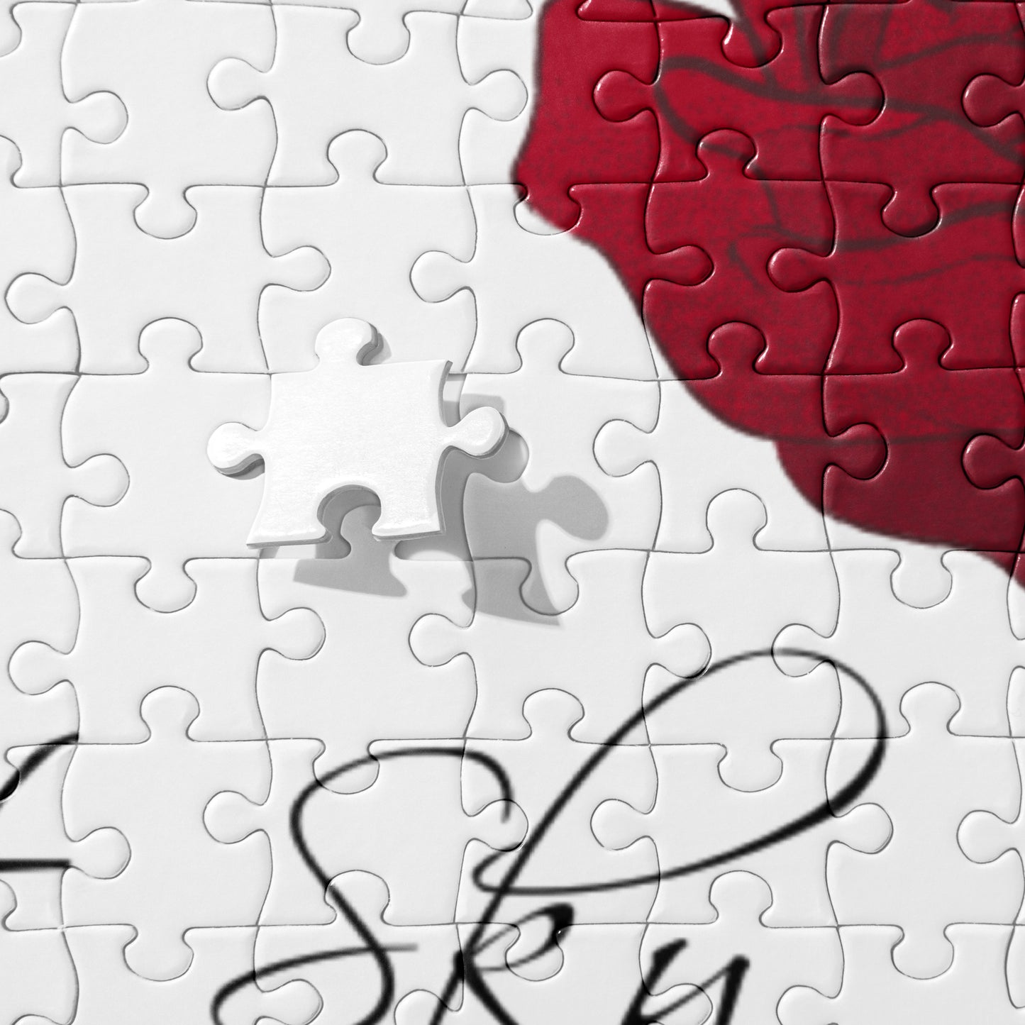 Jigsaw puzzle